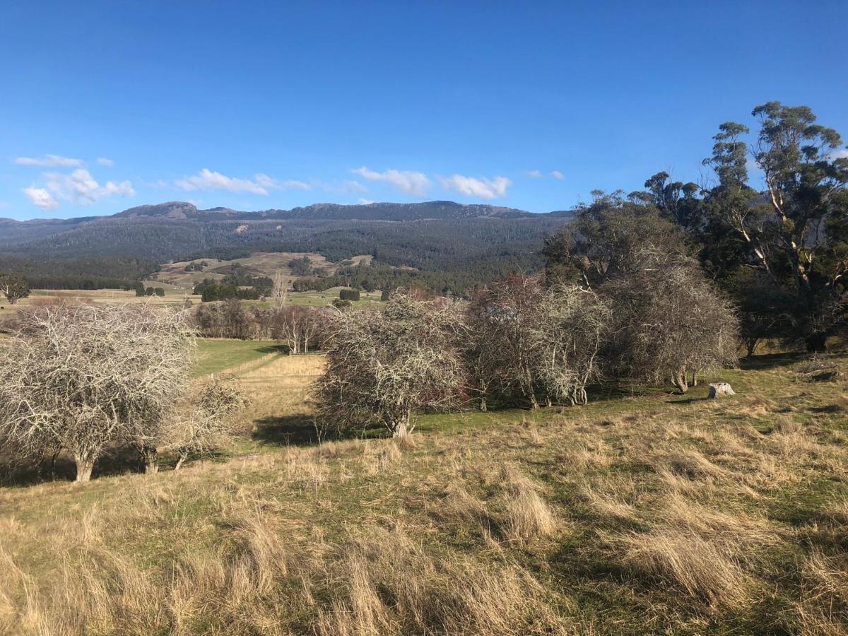 Hotel Mole Creek Hideaway Exterior foto