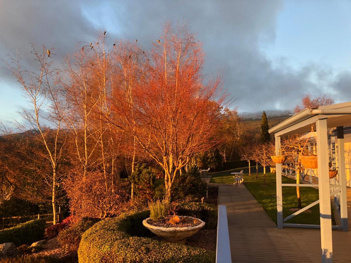 Hotel Mole Creek Hideaway Exterior foto