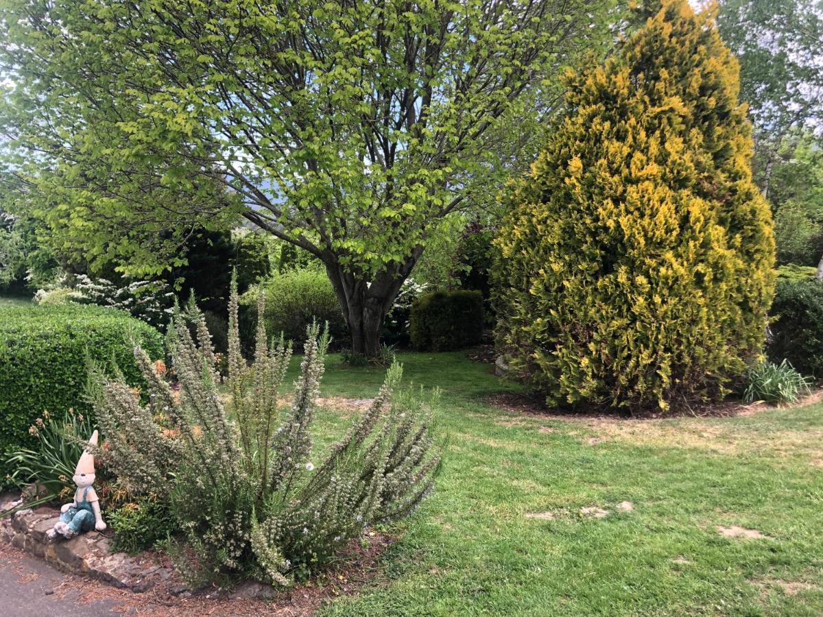 Hotel Mole Creek Hideaway Exterior foto