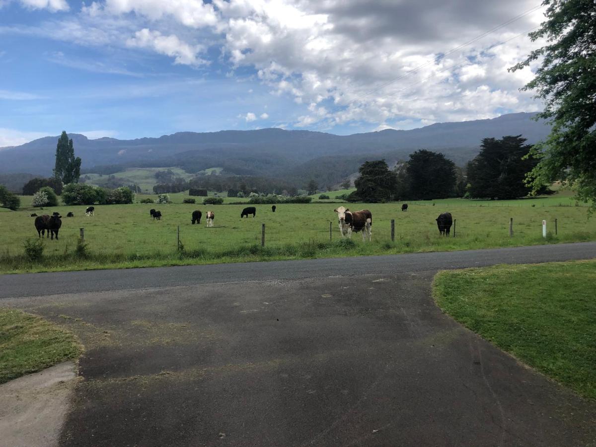 Hotel Mole Creek Hideaway Exterior foto